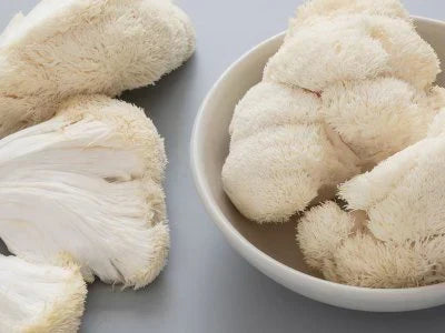 Lions Mane Mushroom: Science-Backed Benefits, Extract Types, and How It’s Grown